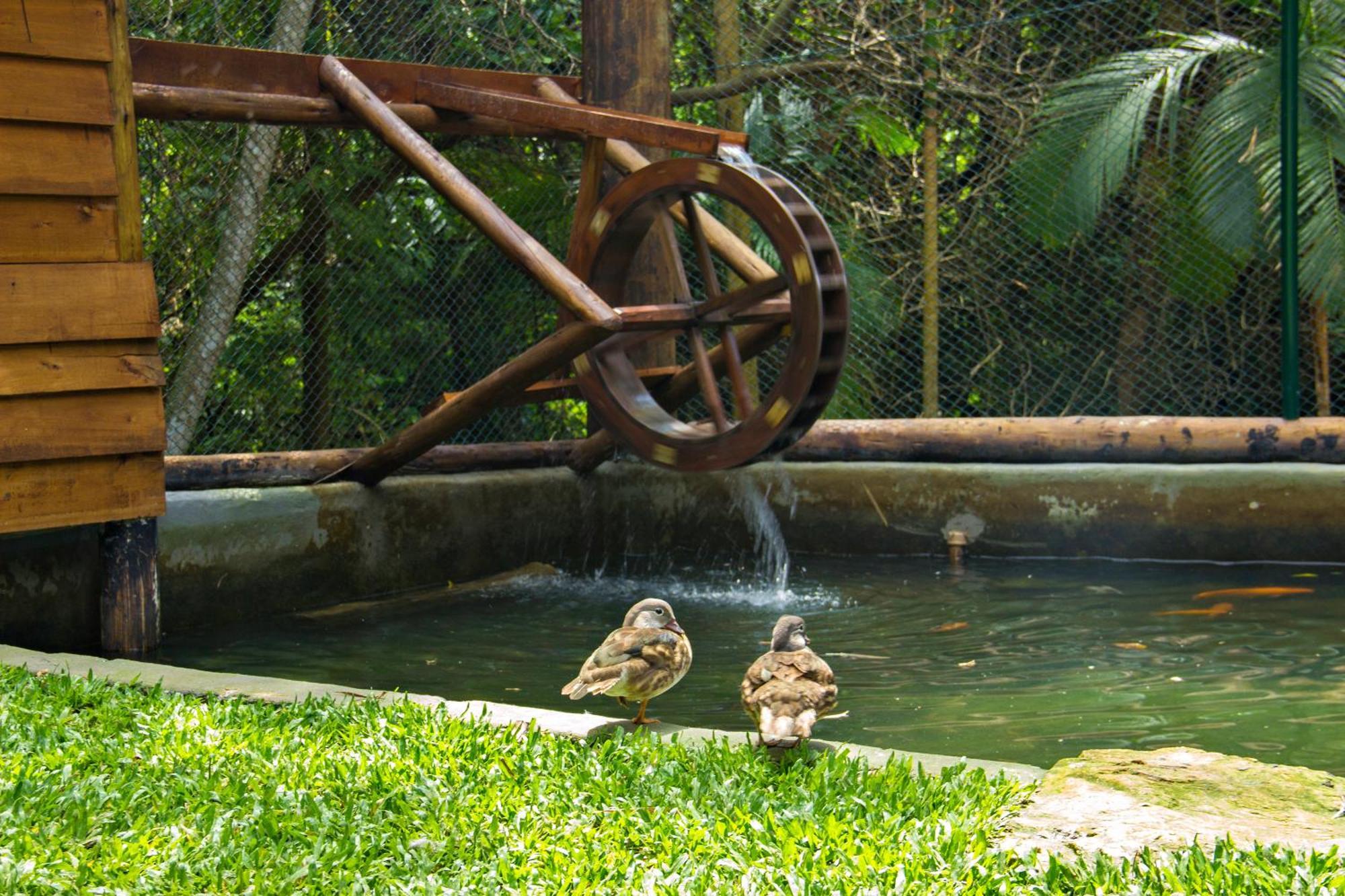 Costao Do Santinho Resort Florianopolis